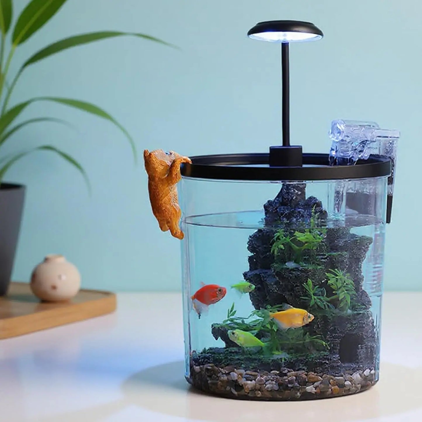 HiMISS Betta Tank Starter Kit With Quiet Filter LED Acrylic