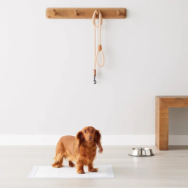 Five Layer Leak Proof Dog Pee Pads With Quick Dry Surface