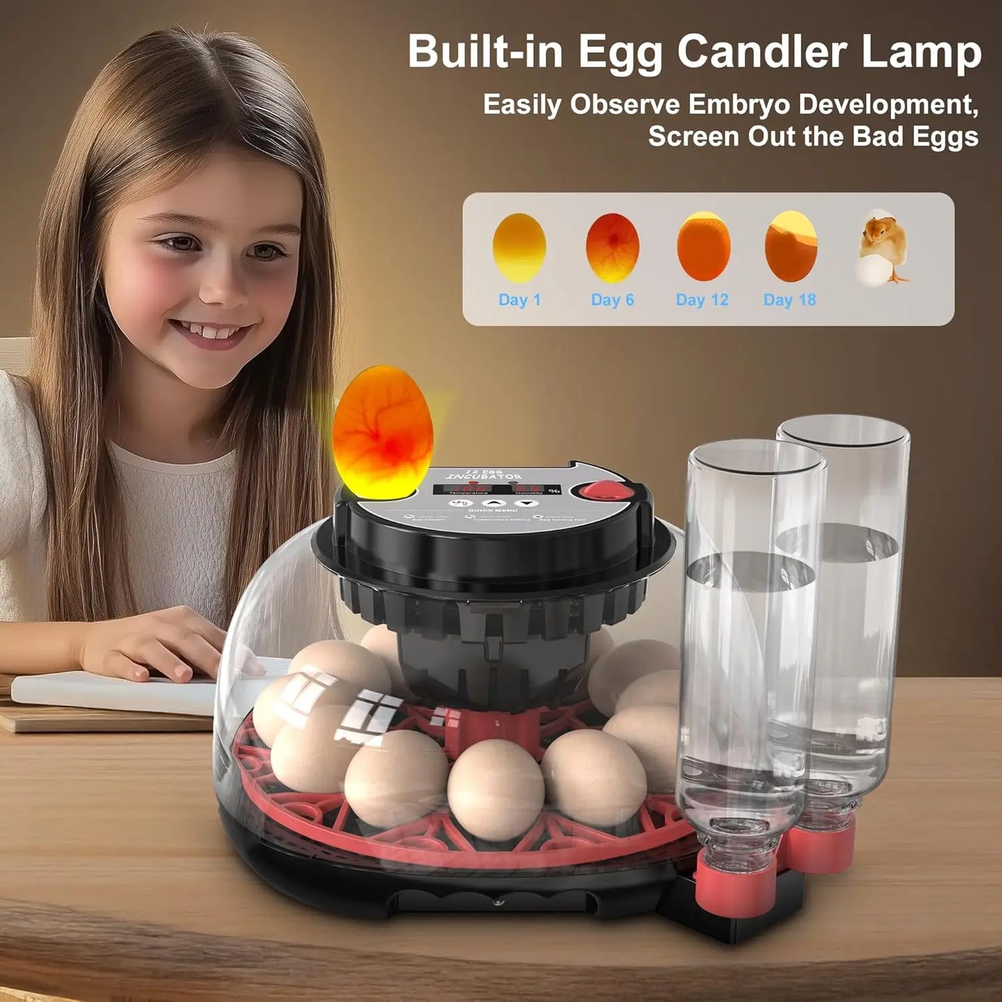 12 Automatic Egg Incubators With Smart Temperature Control Auto Turner