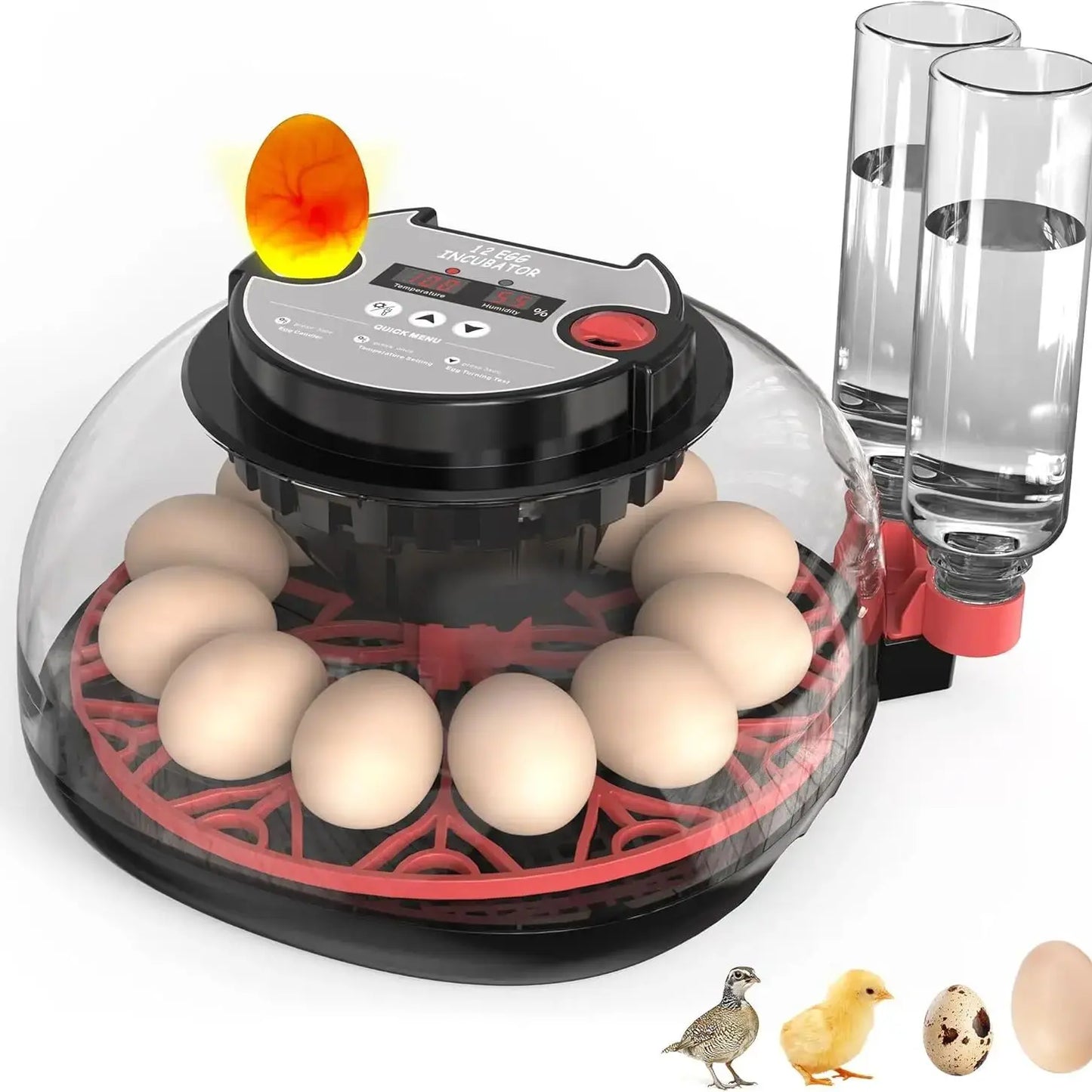 12 Automatic Egg Incubators With Smart Temperature Control Auto Turner