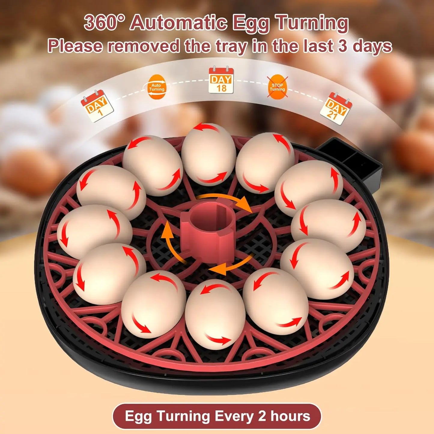 12 Automatic Egg Incubators With Smart Temperature Control Auto Turner