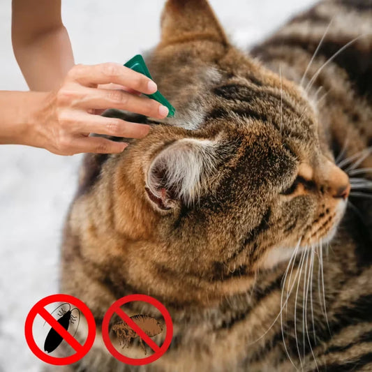 Pet Flea Tick Drops For Skin Health And Itch Relief