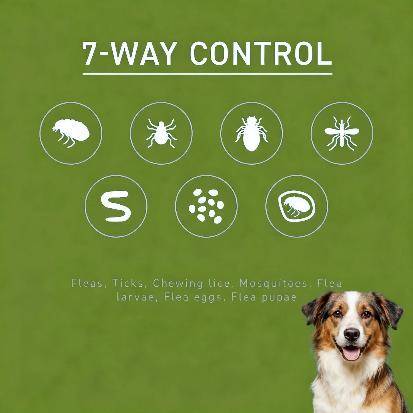 Pet Flea Tick Drops For Skin Health And Itch Relief