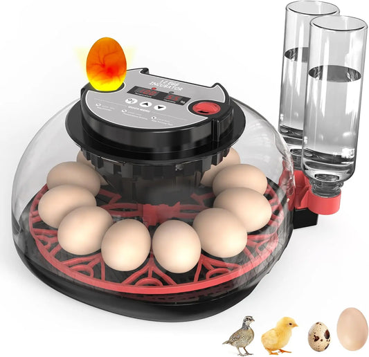 12 Automatic Egg Incubators With Smart Temperature Control Auto Turner
