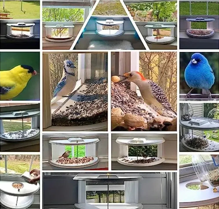 Window Bird Feeder With 180 Clear View Recessed Mount