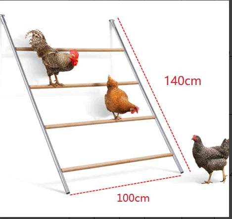 Chicken Perch For Coop With Ladder Design Weatherproof Roost