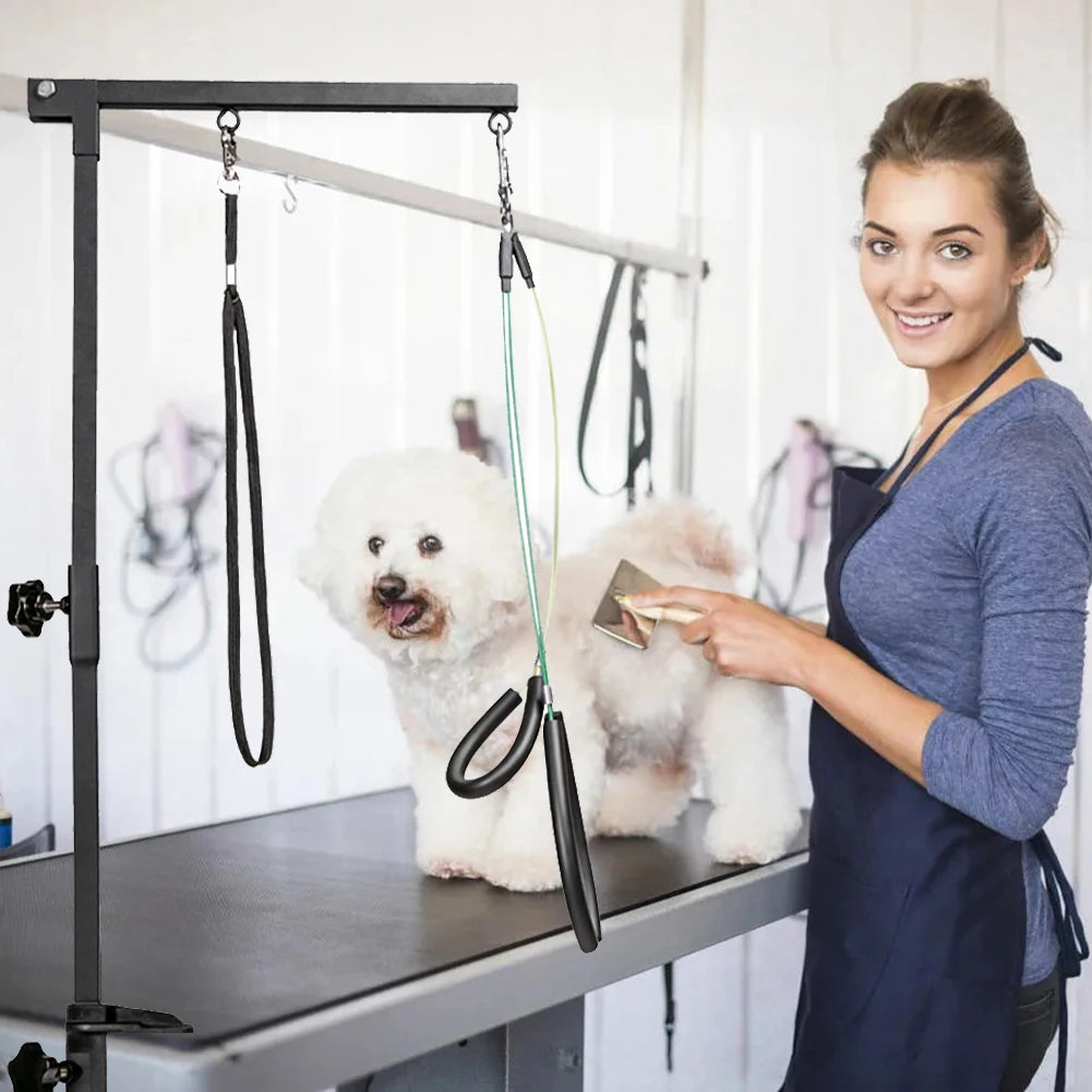 Desk Dog Cat Holder Telescopic Stainless Steel Grooming Stand
