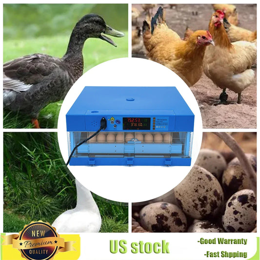 64 Egg Incubator With Automatic Turner And Digital Thermostat