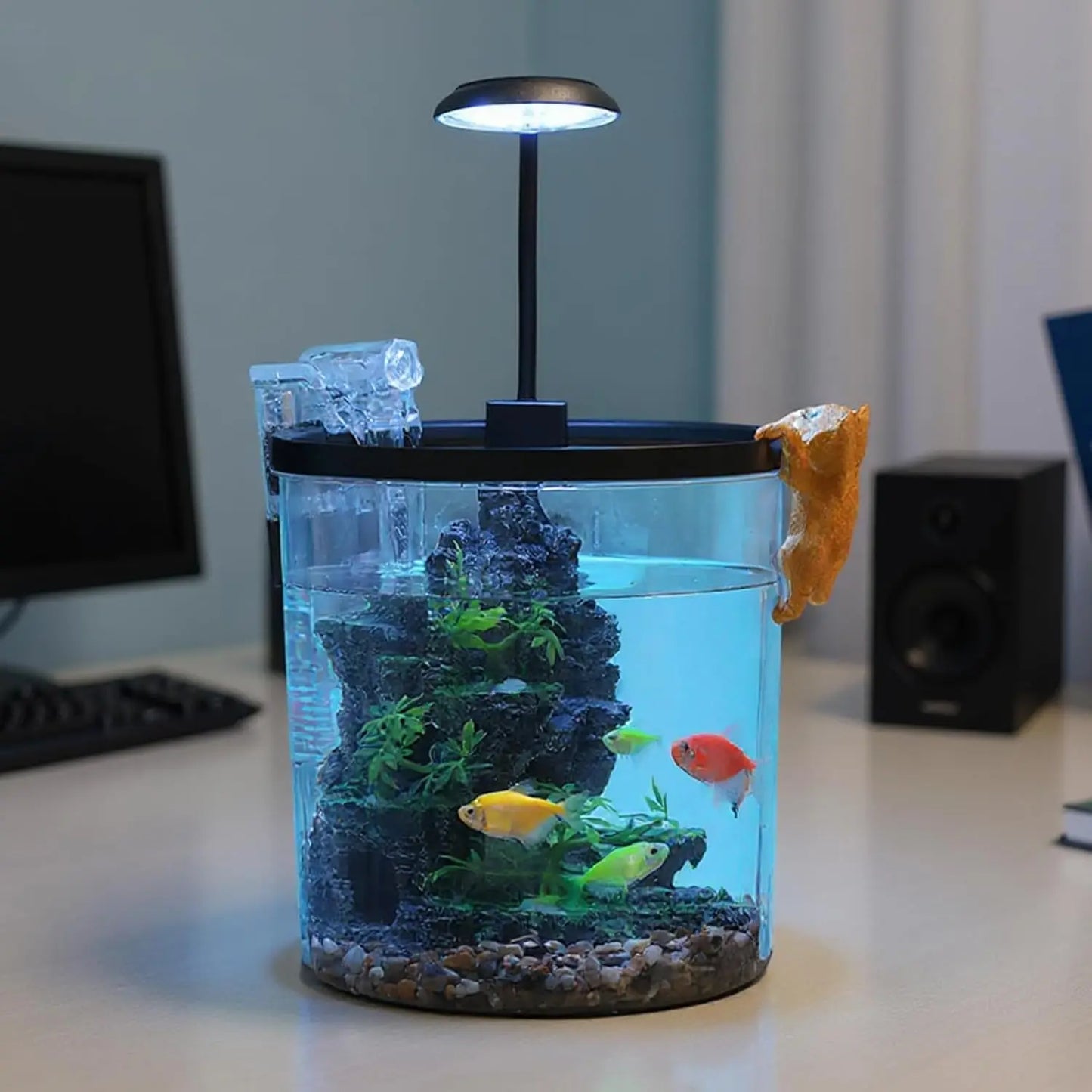 HiMISS Betta Tank Starter Kit With Quiet Filter LED Acrylic