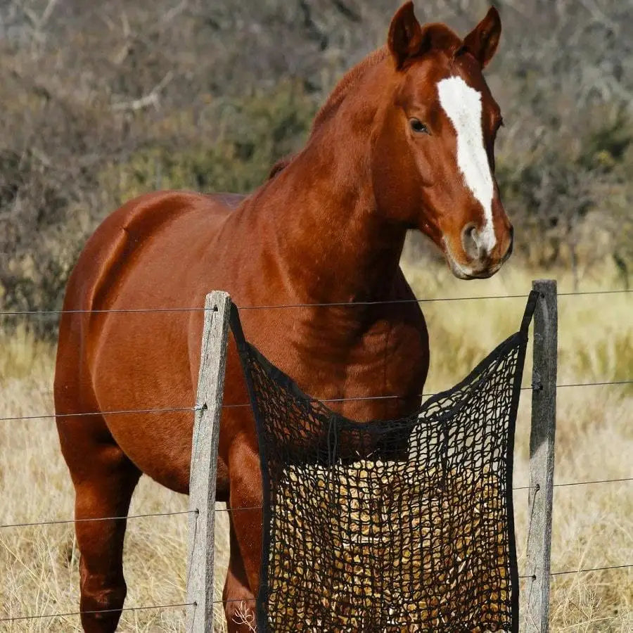 Slow Feed Hay Nets For Horses, Large Capacity, Small Opening