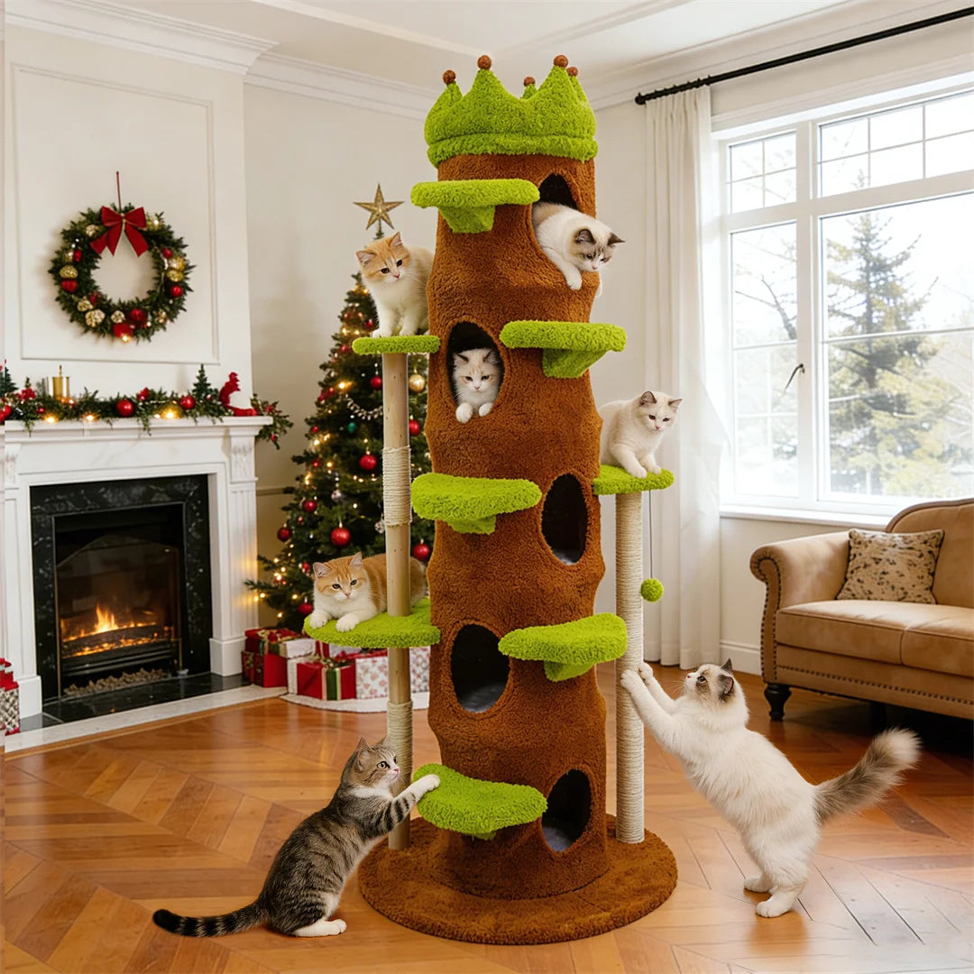 BINGOPAW Multi Level Indoor Cat Tower With Scratching Posts