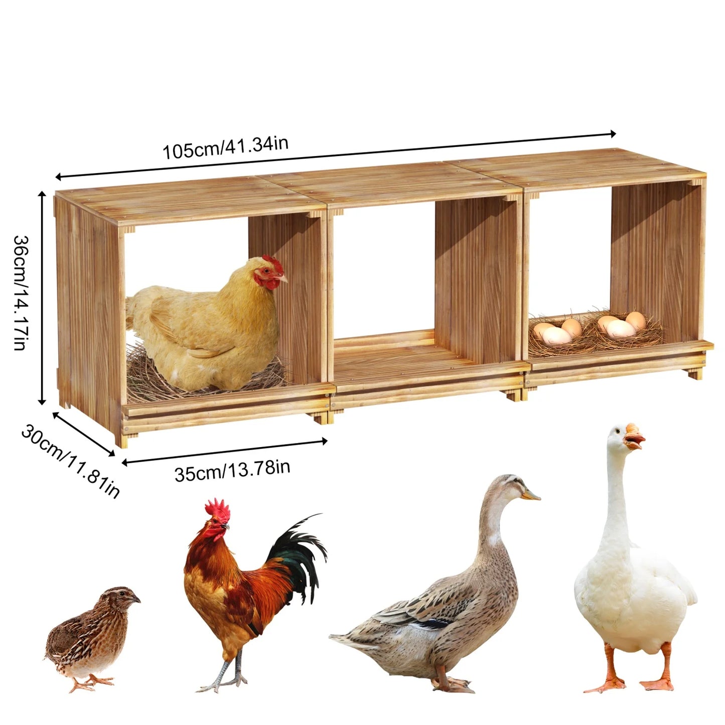 Bingopaw 3 Compartment Pine Wood Chicken Nesting Box for Eggs