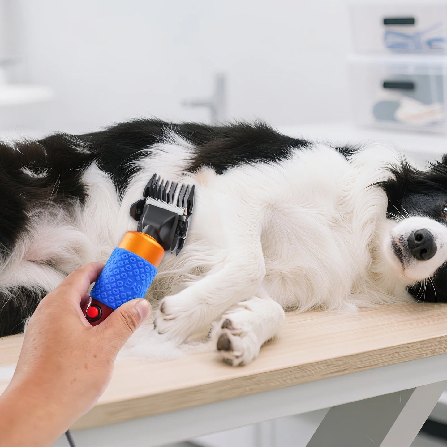 Professional Dog Clipper And Cat Trimmer Grooming Kit