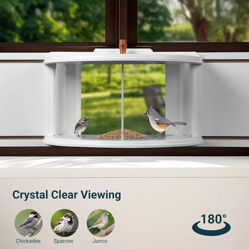 Window Bird Feeder With 180 Clear View Recessed Mount