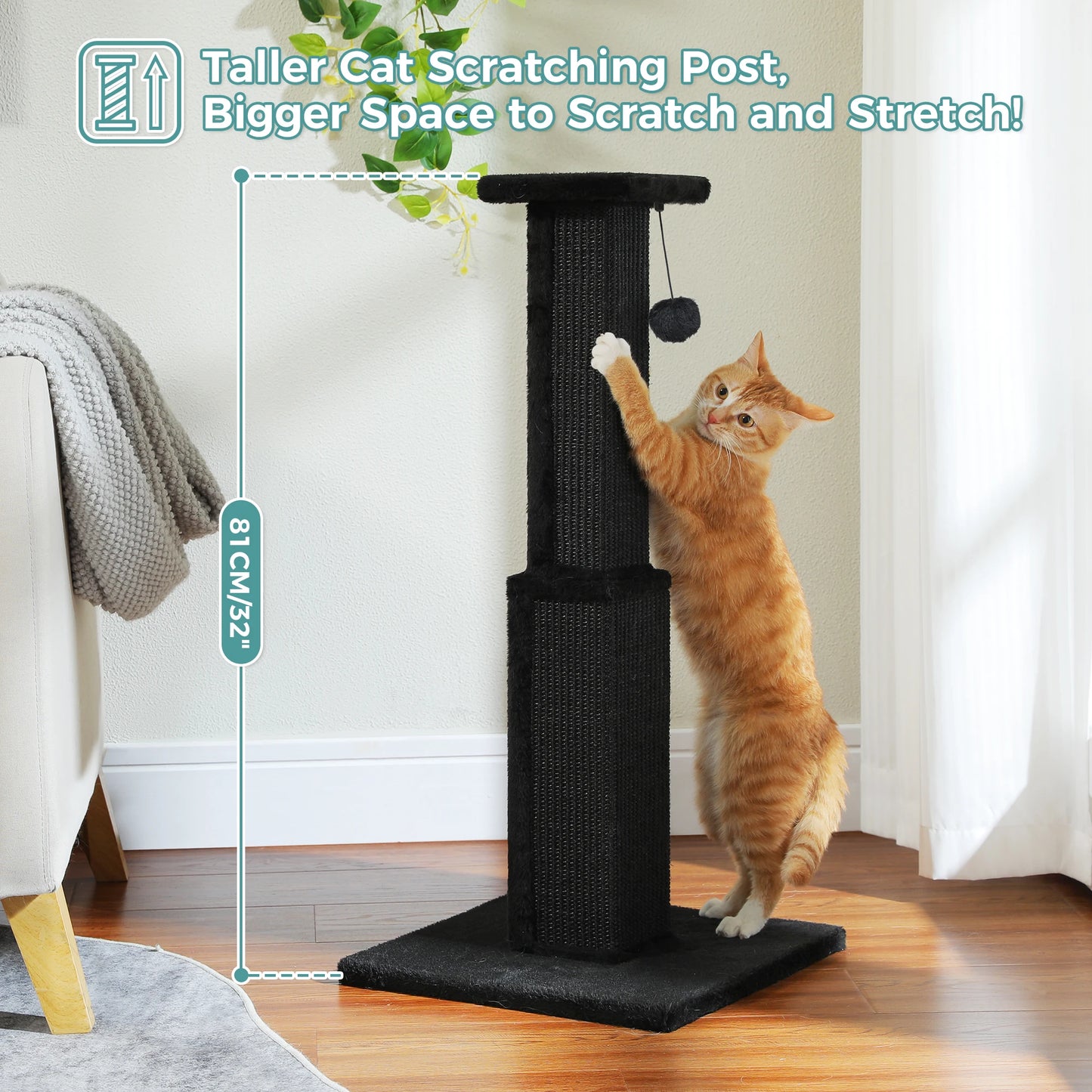 PAWZ Road Large Cat Scratching Post With Sisal Ball Toy