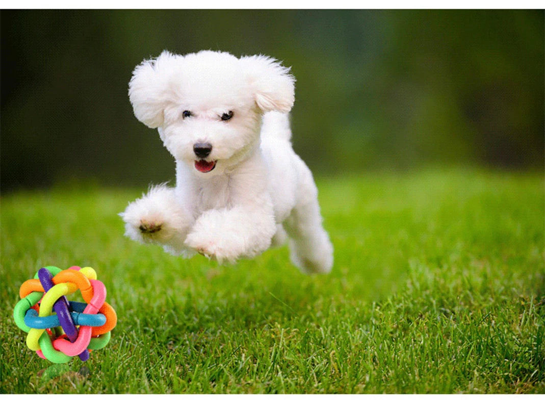 Colorful Bell Woven Dog Toy Bite Resistant Rubber Chew Toy