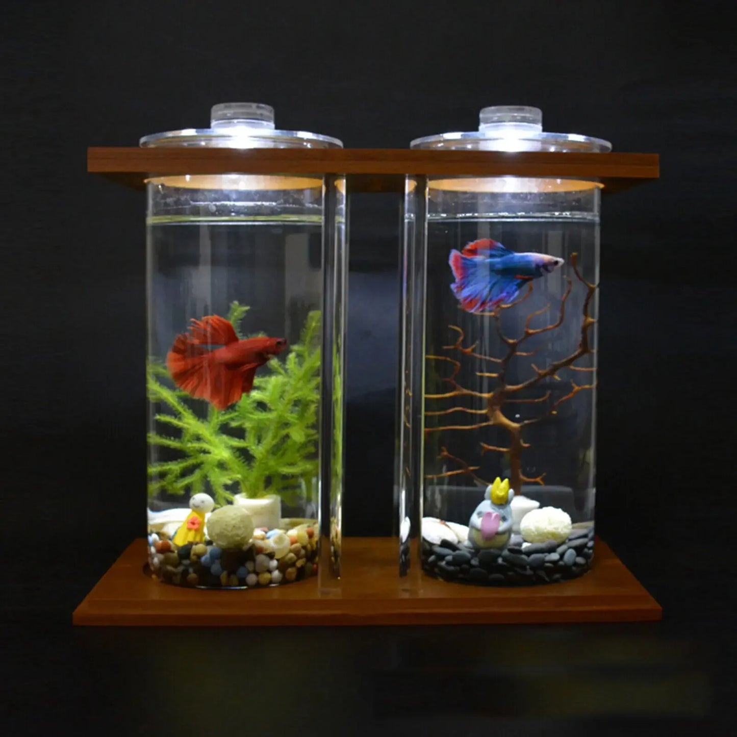 Glass Betta Fish Tank With LED Light Bamboo Base Aquarium
