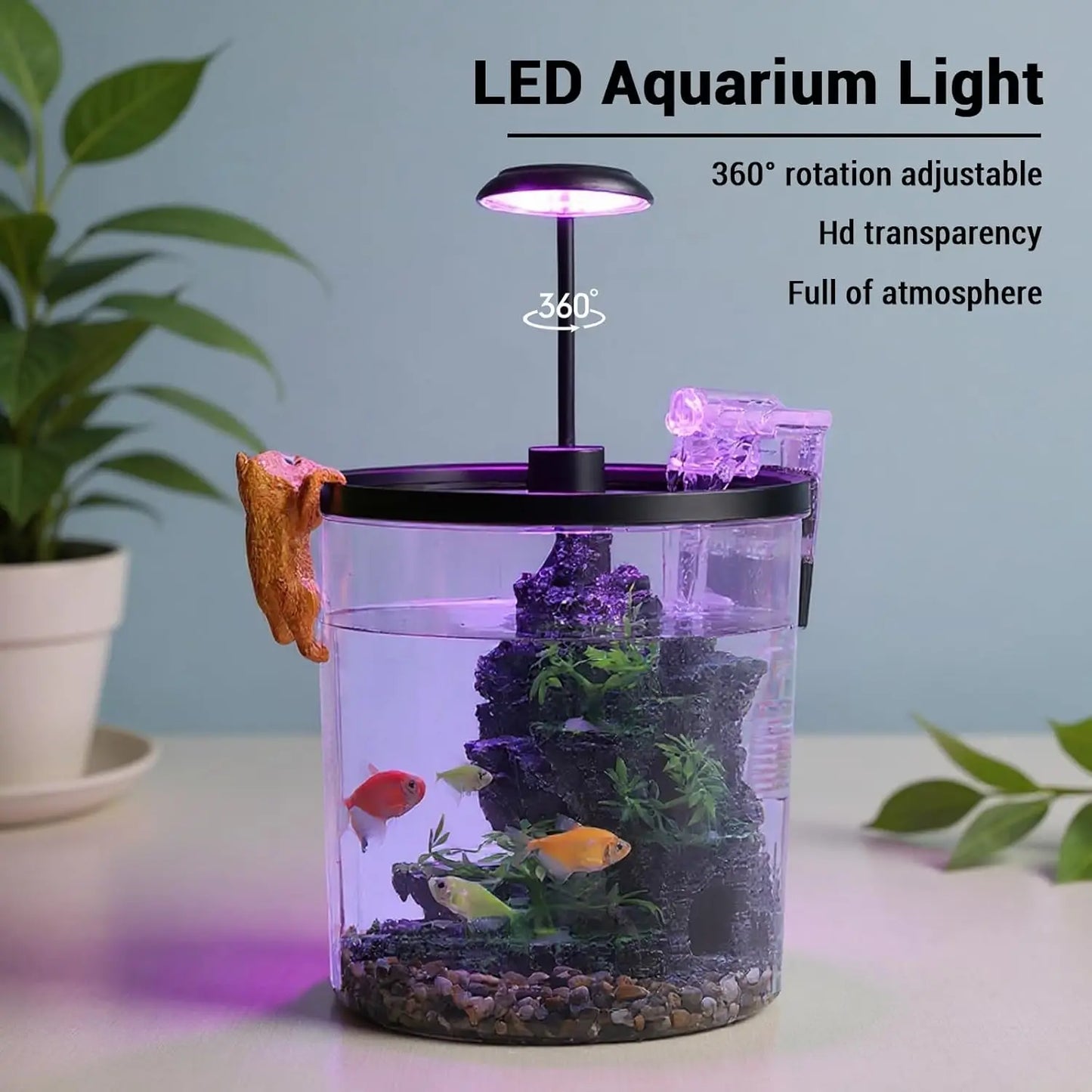 HiMISS Betta Tank Starter Kit With Quiet Filter LED Acrylic