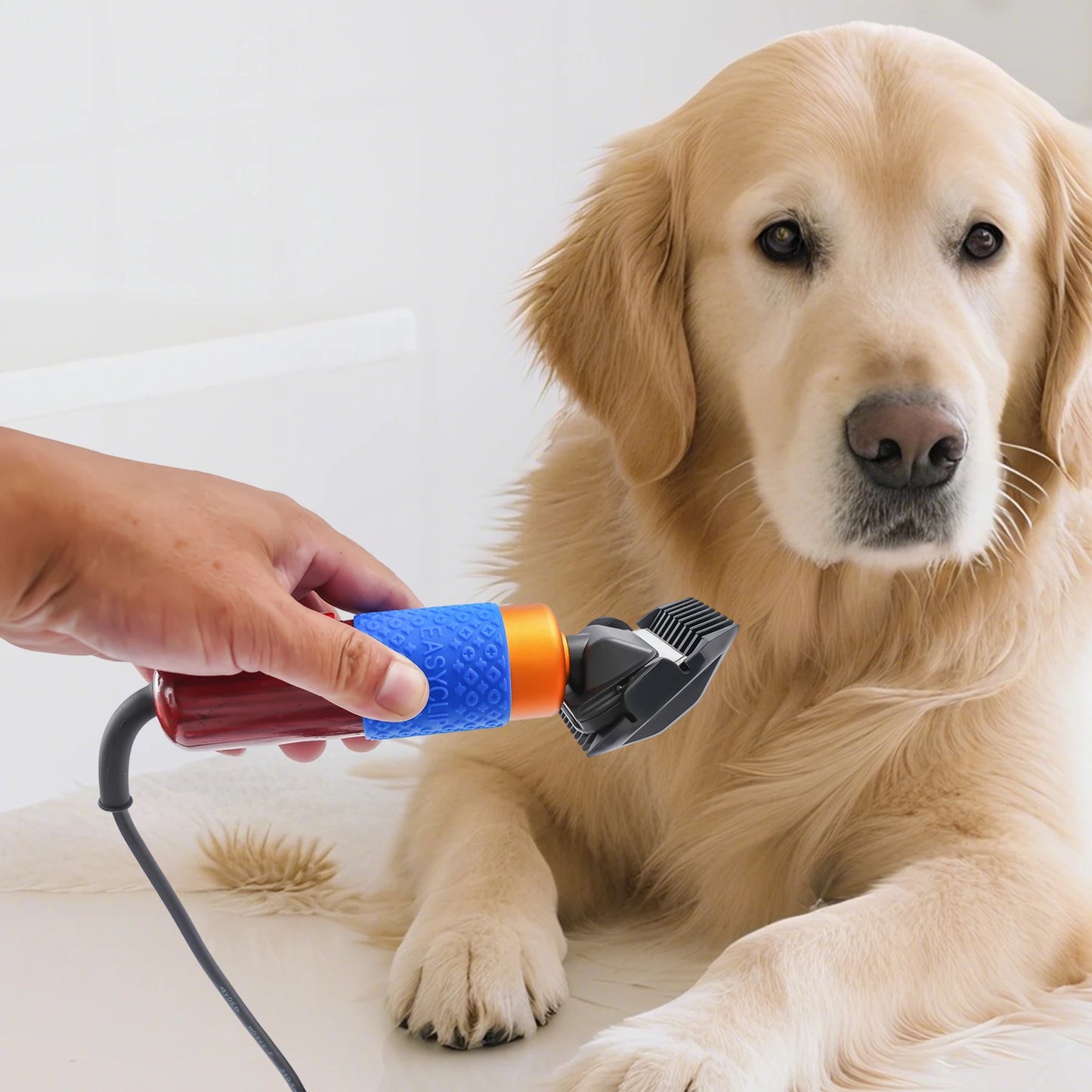 Professional Dog Clipper And Cat Trimmer Grooming Kit