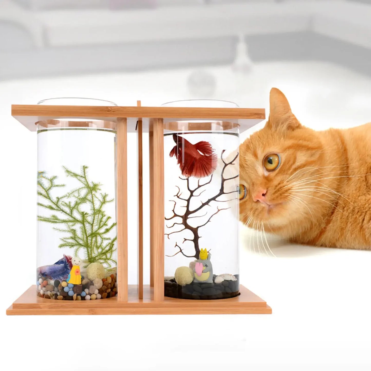 Glass Betta Fish Tank With LED Light Bamboo Base Aquarium