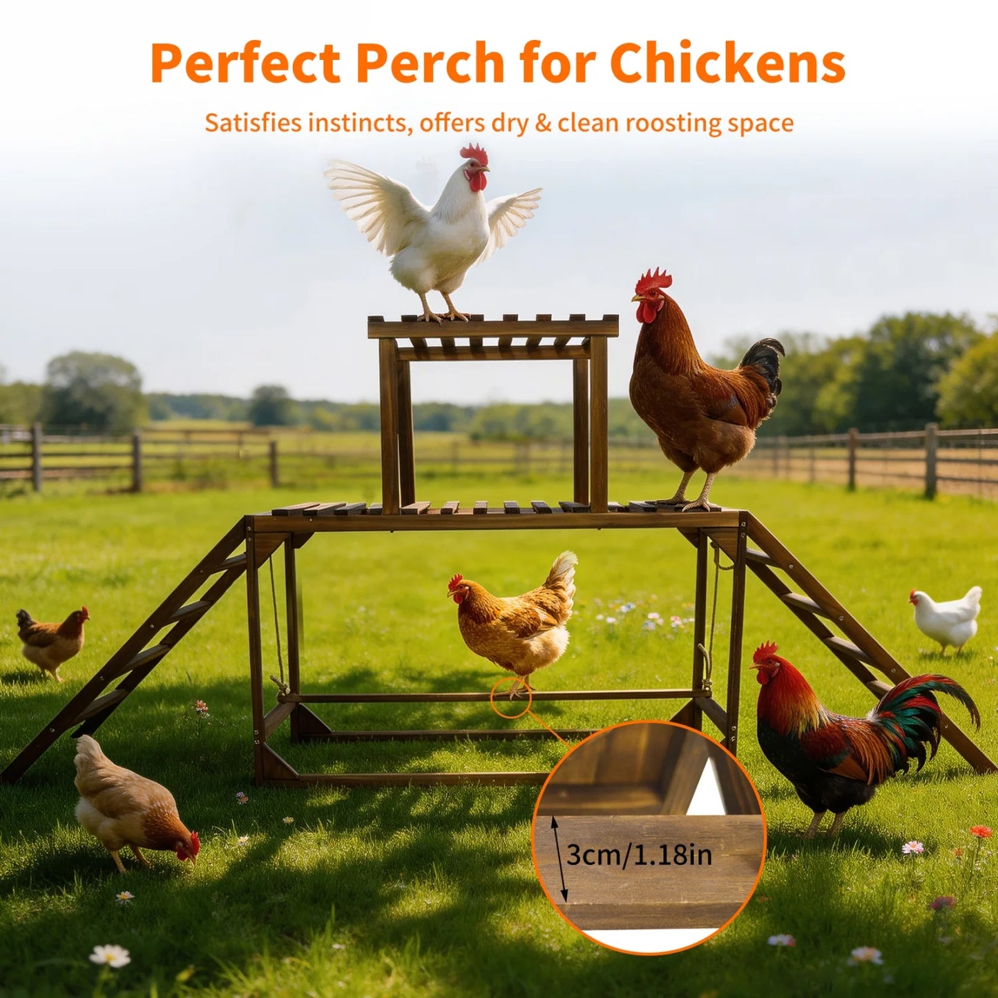 Bingopaw Pine Wood Chicken Perch Swing And Roosting Ladder
