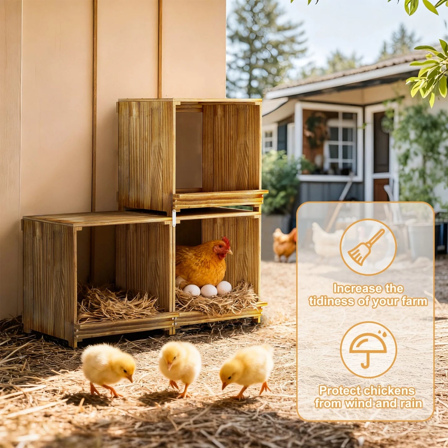 Bingopaw 3 Compartment Pine Wood Chicken Nesting Box for Eggs