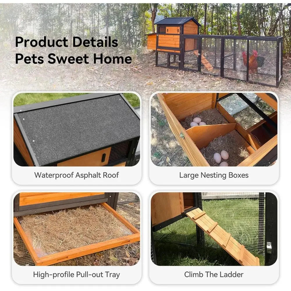 Wooden Chicken Coop For Three To Six Chickens In Backyard