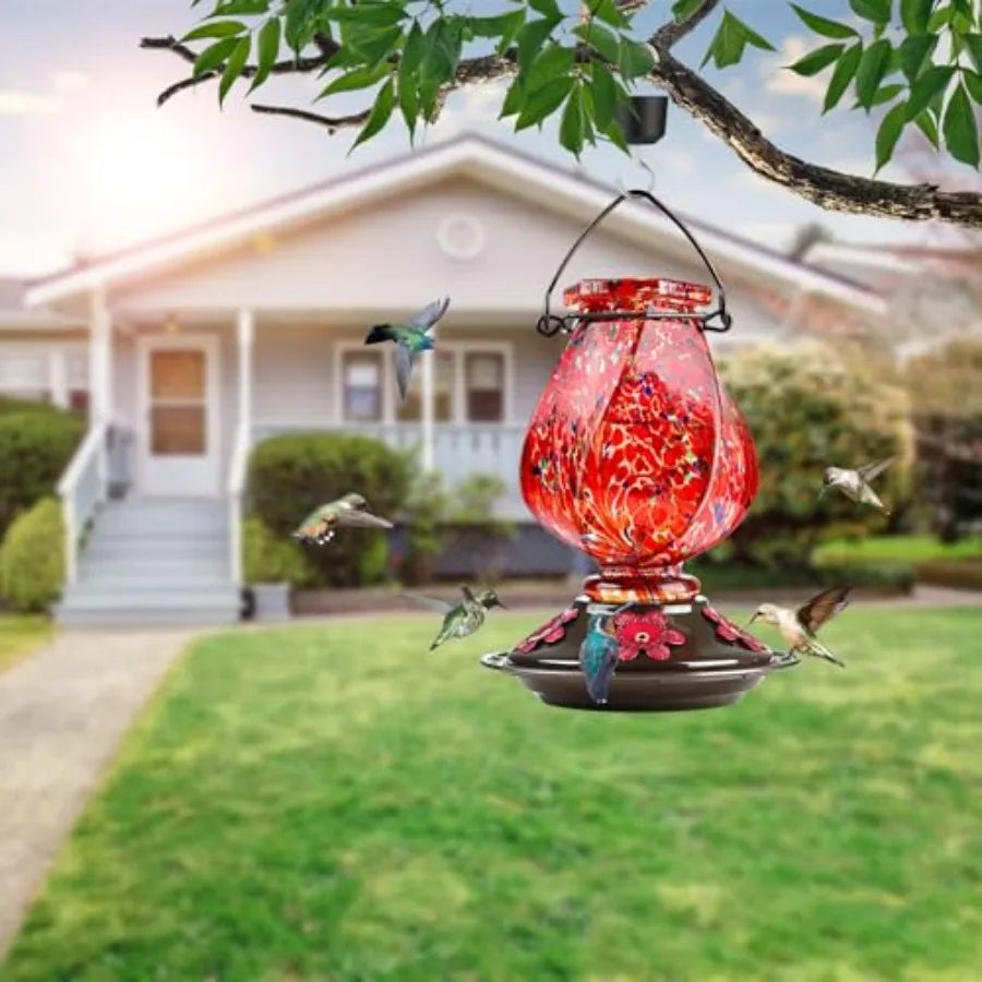 Hummingbird Feeder With Ant Moat And Bee Proof Ports