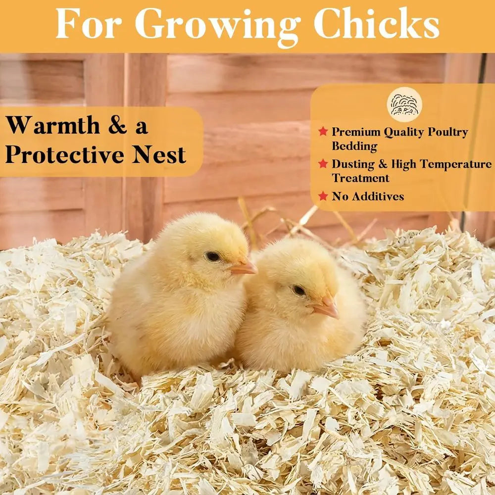 Aspen Shavings Chicken Coop Bedding For Nesting And Indoor Use