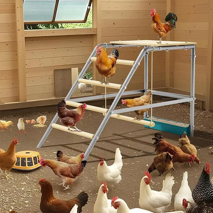 Chicken Perch For Coop With Ladder Design Weatherproof Roost