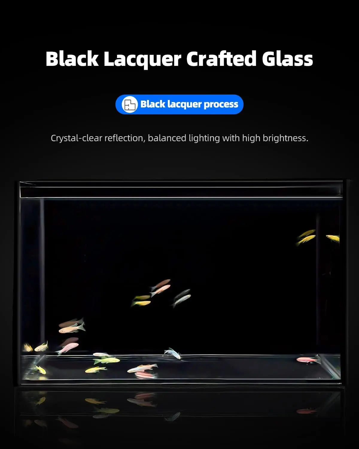 Ultra Clear Rimless Fish Tank for Betta and Shrimp