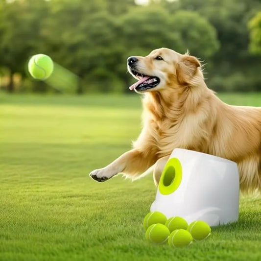 Rechargeable Automatic Dog Ball Launcher Interactive Fetch Toy