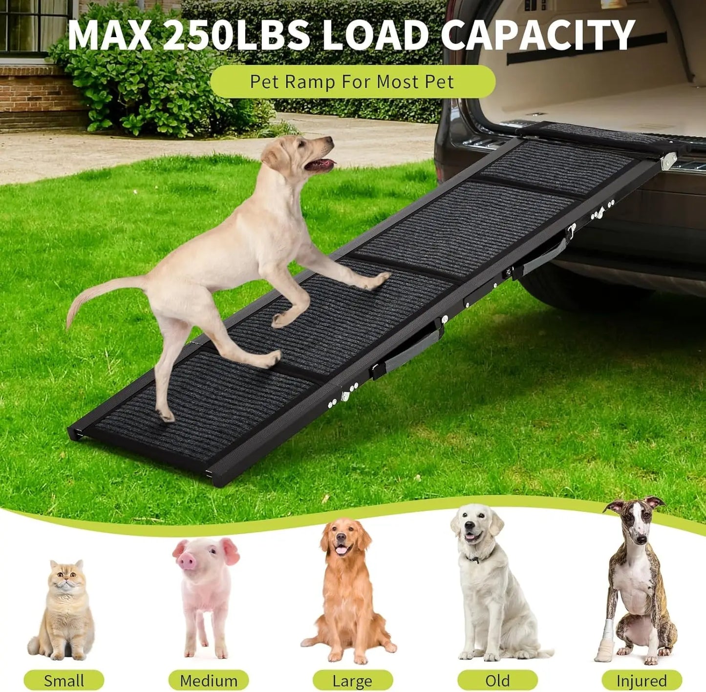 HiMISS Folding Car Ramp For Dogs, Portable Pet Steps