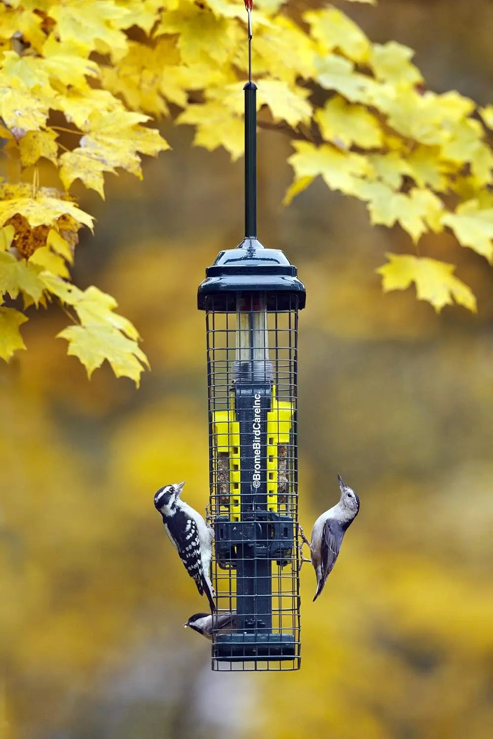 Squirrel-Proof Suet Bird Feeder With Two Trays And Easy Clean