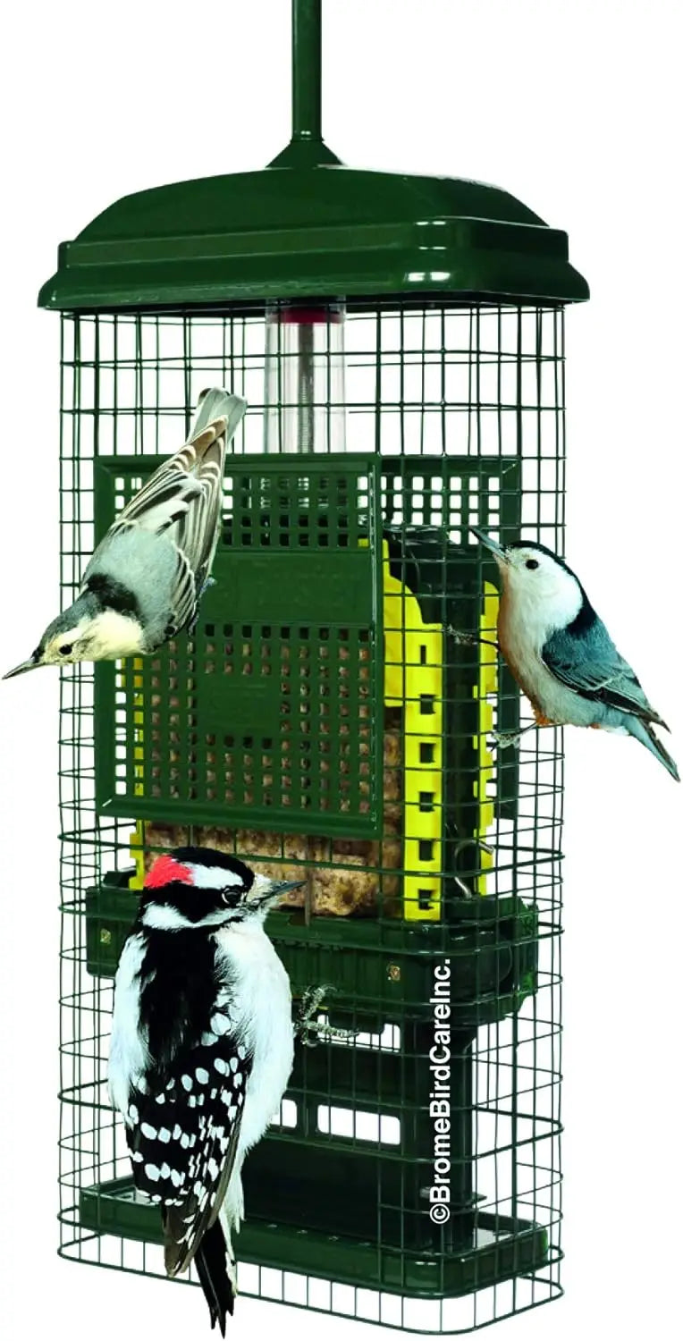 Squirrel-Proof Suet Bird Feeder With Two Trays And Easy Clean