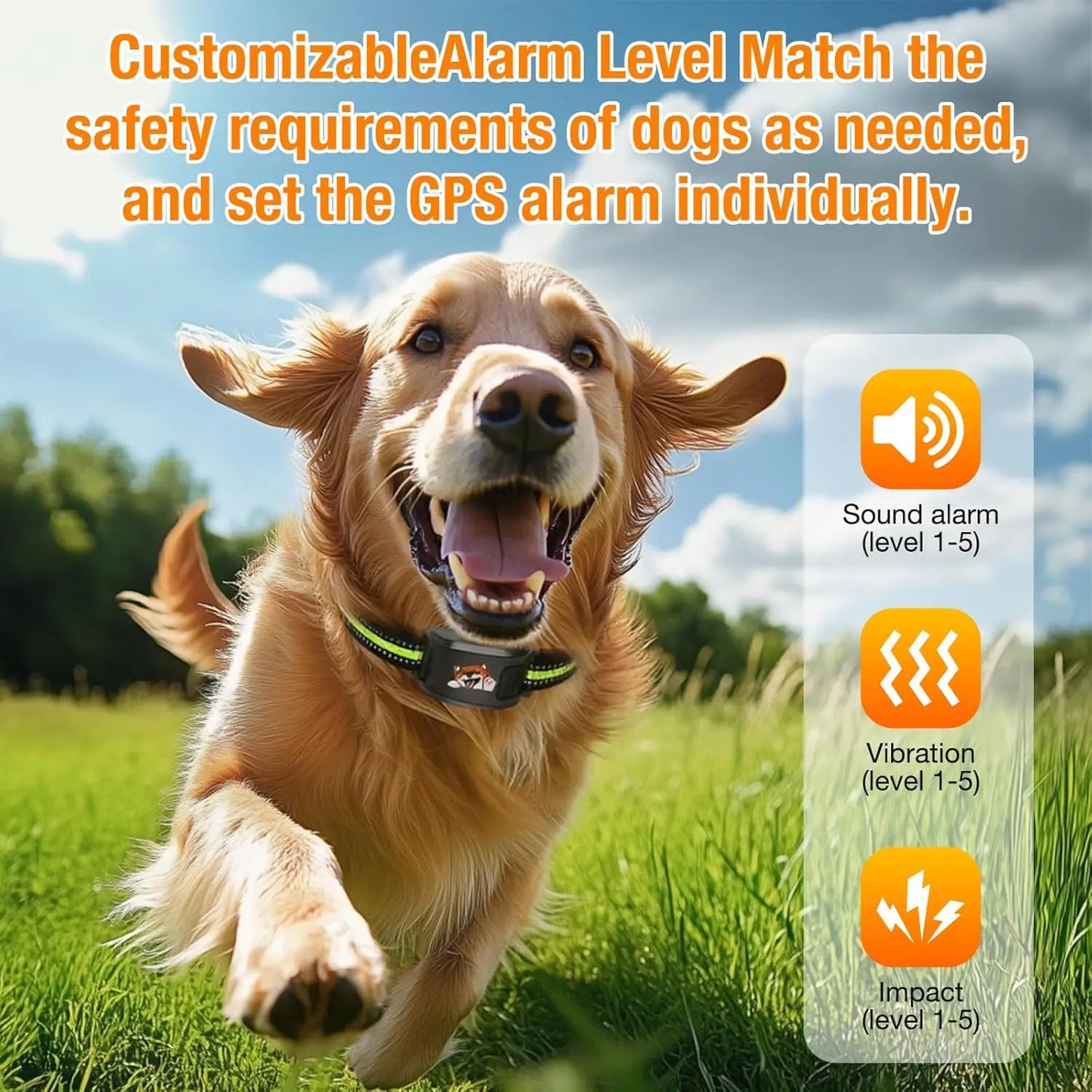 Outdoor GPS Wireless Dog Fence System With Bluetooth Training Collar