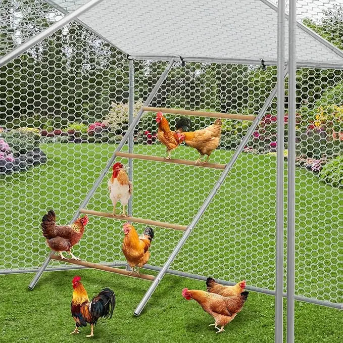 Chicken Perch For Coop With Ladder Design Weatherproof Roost