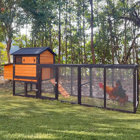 Wooden Chicken Coop For Three To Six Chickens In Backyard