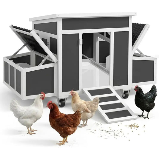 Outdoor Chicken Coop With Nesting Box Tray And Windows