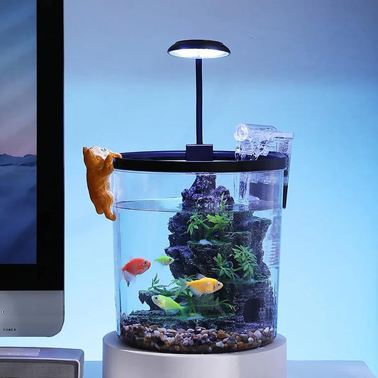 HiMISS Betta Tank Starter Kit With Quiet Filter LED Acrylic