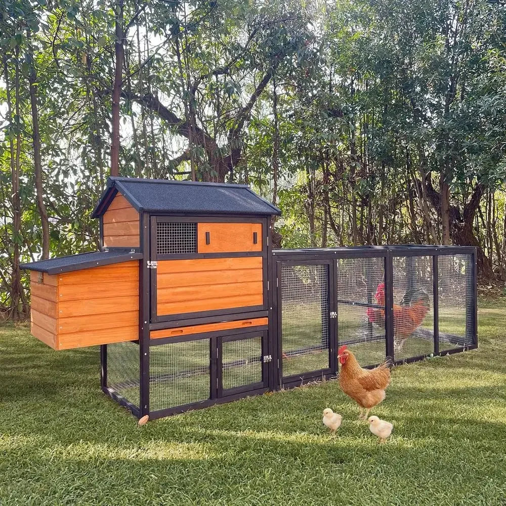 Wooden Chicken Coop For Three To Six Chickens In Backyard