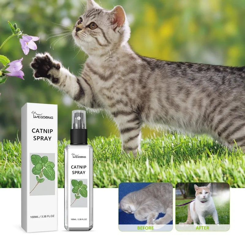 Catnip Spray For Cats Relieves Anxiety And Boosts Vitality
