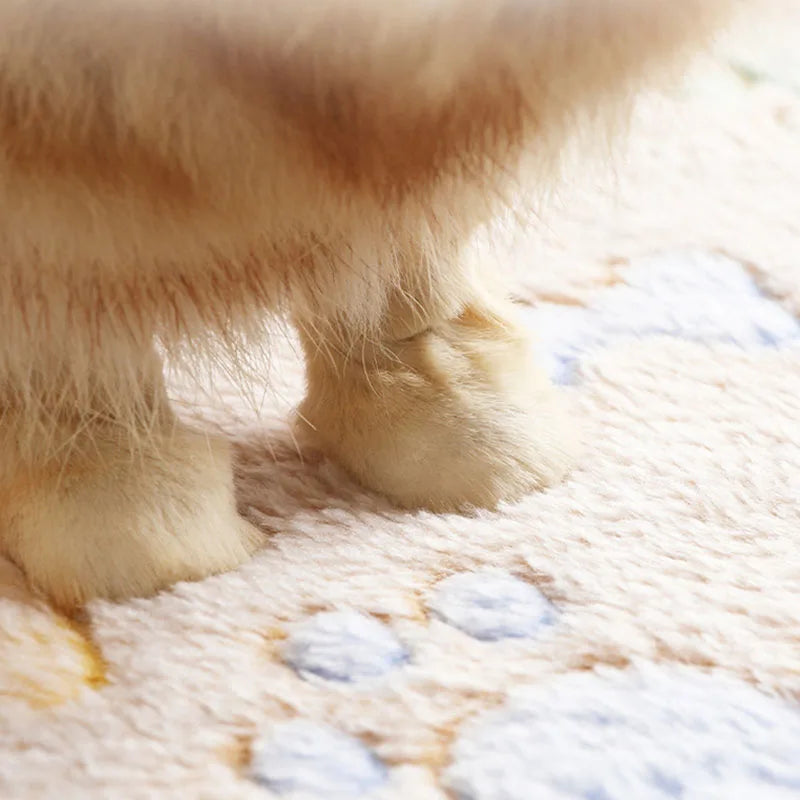 Velvet Pet Blanket With Paw Bone Pattern Soft Fleece Mat