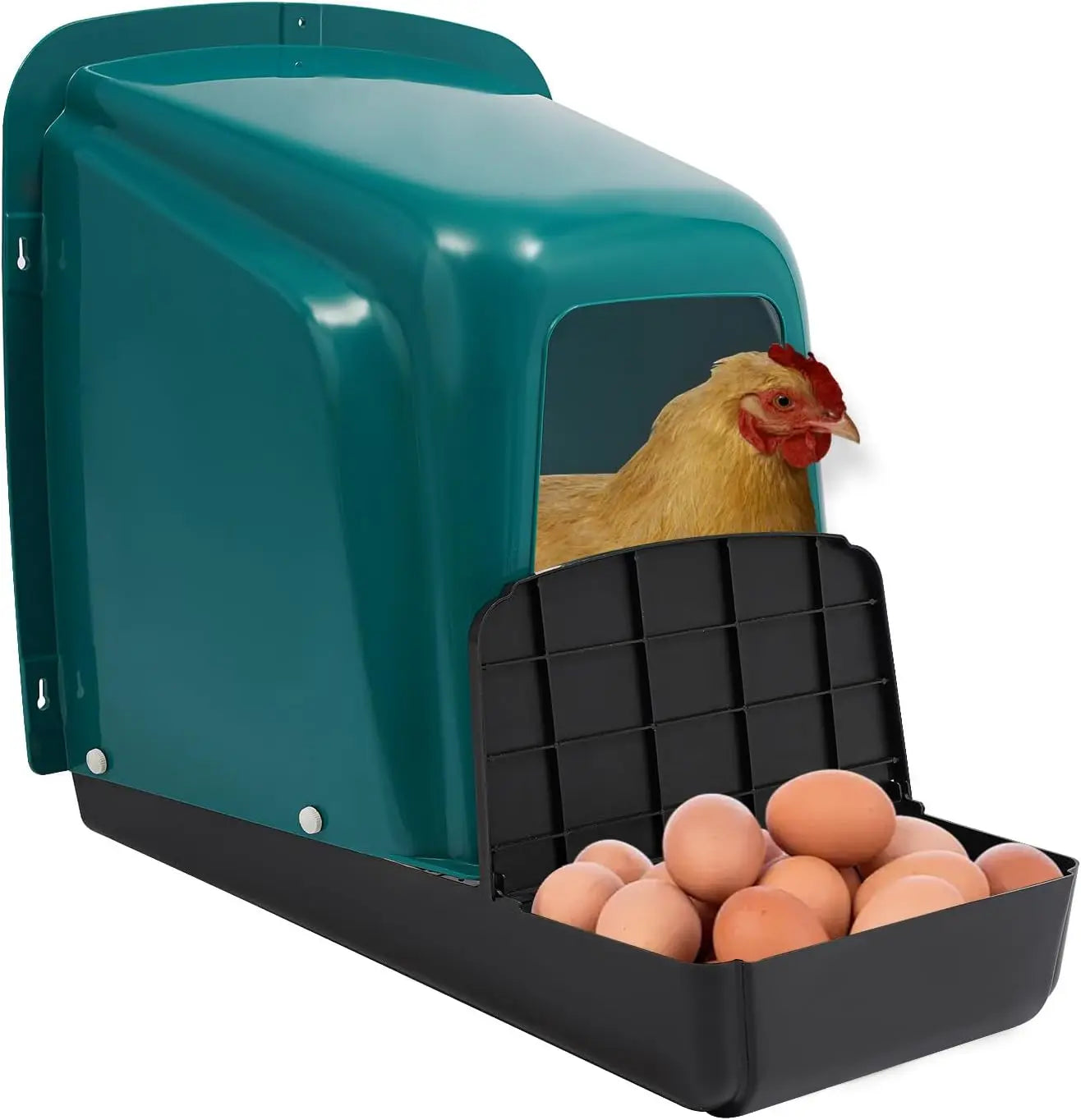 Roll Away Chicken Nesting Boxes 5 Pack Durable Plastic