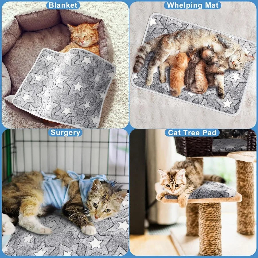 Self Warming Cat Pad And Mat For Indoor Outdoor Pets