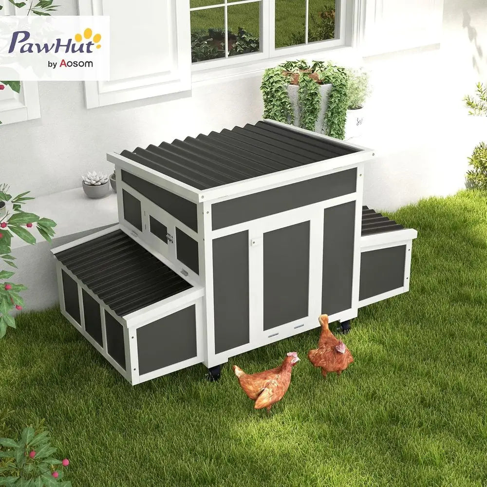 Outdoor Chicken Coop With Nesting Box Tray And Windows