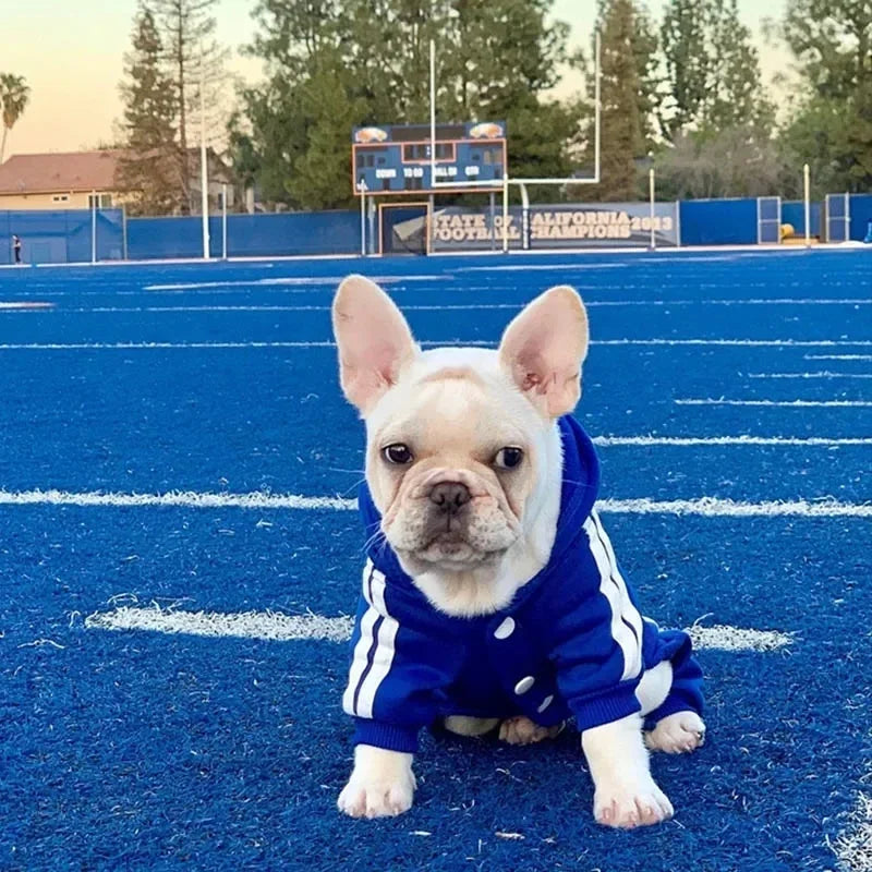 Dog Jumpsuit French Bulldog Chihuahua Pug Pets Clothing