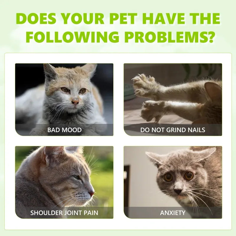 Catnip Spray For Cats Relieves Anxiety And Boosts Vitality