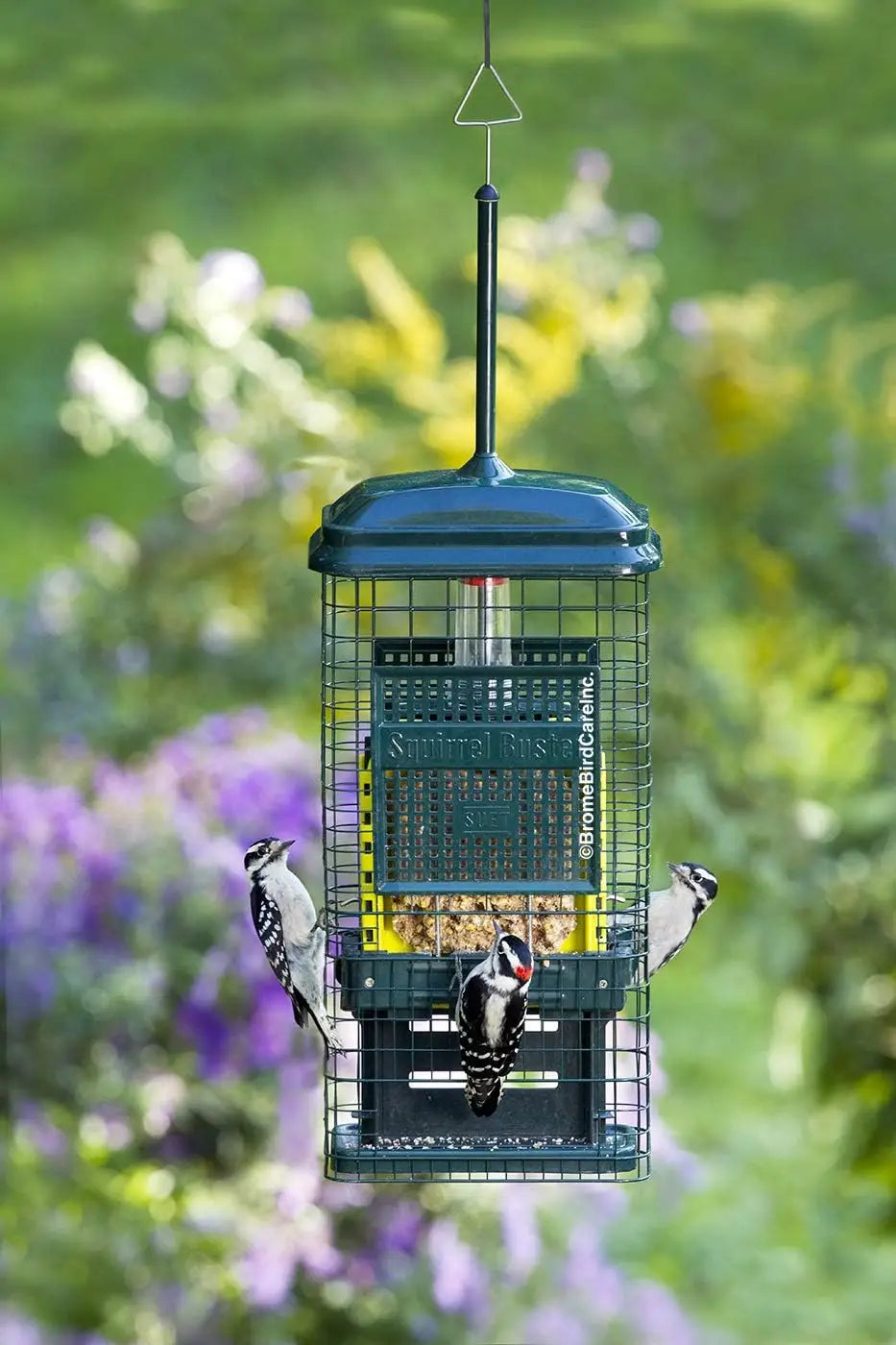 Squirrel-Proof Suet Bird Feeder With Two Trays And Easy Clean