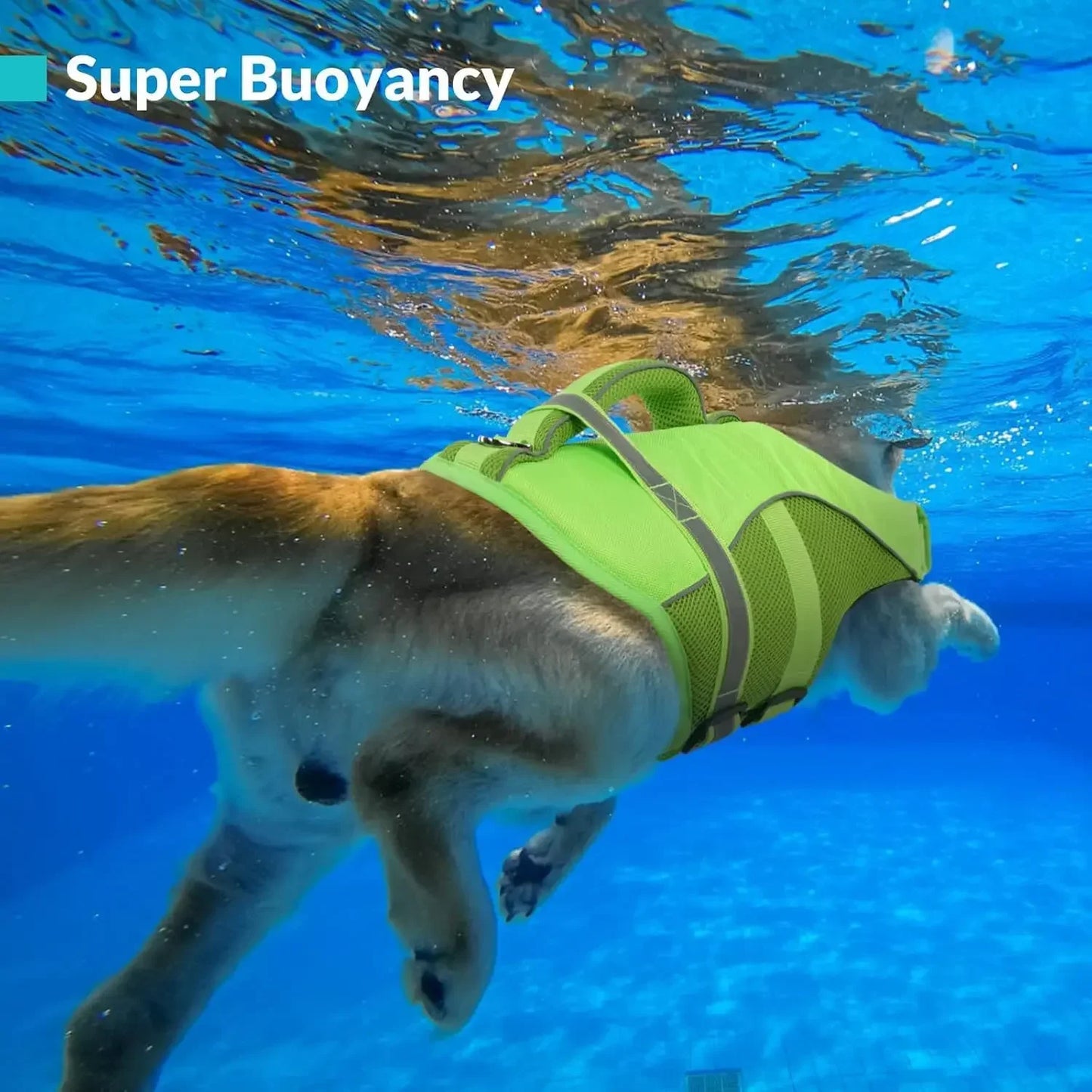 Durable Mesh Dog Life Jacket With Ergonomic Rescue Handle Reflective